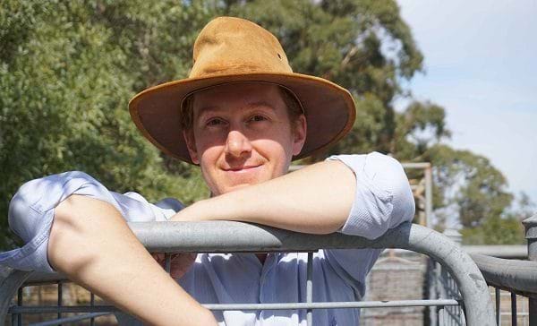 fertiliser prices 2023 