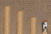 Income averaging for primary producers