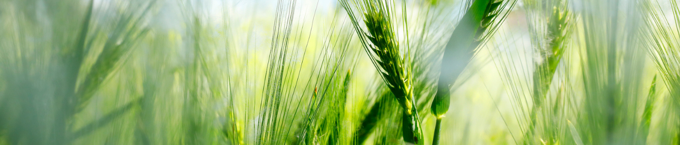 Spring Clean your Business