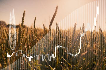 grain sales, grain marketing and tax planning